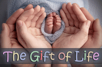 The-Gift-of-Life_TILE_200x