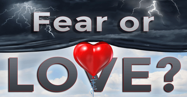 Fear-or-Love_600xb