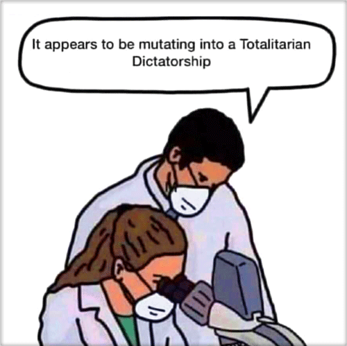 Morphing-into-Totalitarian-dictatorship