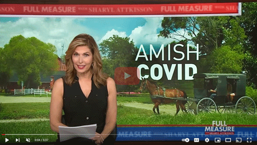 Amish-and-covid_500xa