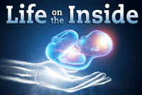 Life on the Inside