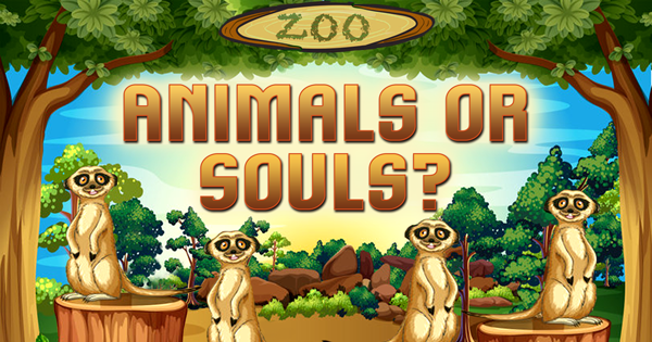 Animals-or-Souls_BANNER_600x