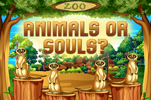 Animals or Souls?