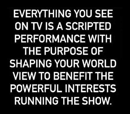 Everything-on-TV-is-scripted-to-shape-your-opinion_450x