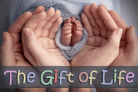 The Gift of Life