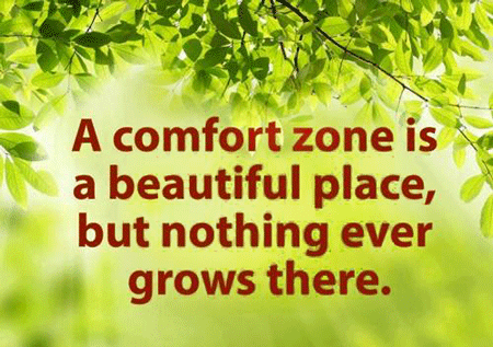 Comfort-Zones-nothing-grows_500x