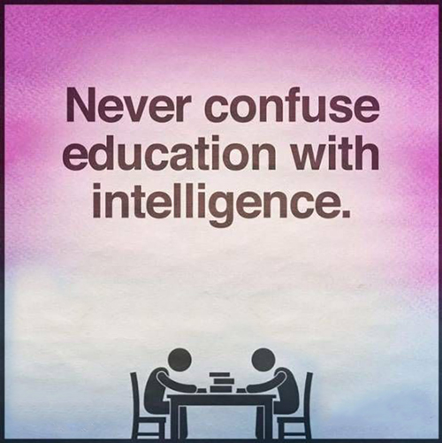 Never-Confuse-Education-With-Intelligence_500x