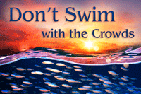 Don’t Swim with the Crowds